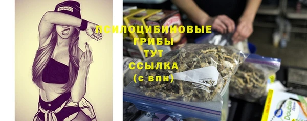 дживик Аркадак